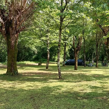 Mobil-home Climatise, Animaux Ok - 6 Pers. - Api-1-52-2509 * Sireuil (Charente)